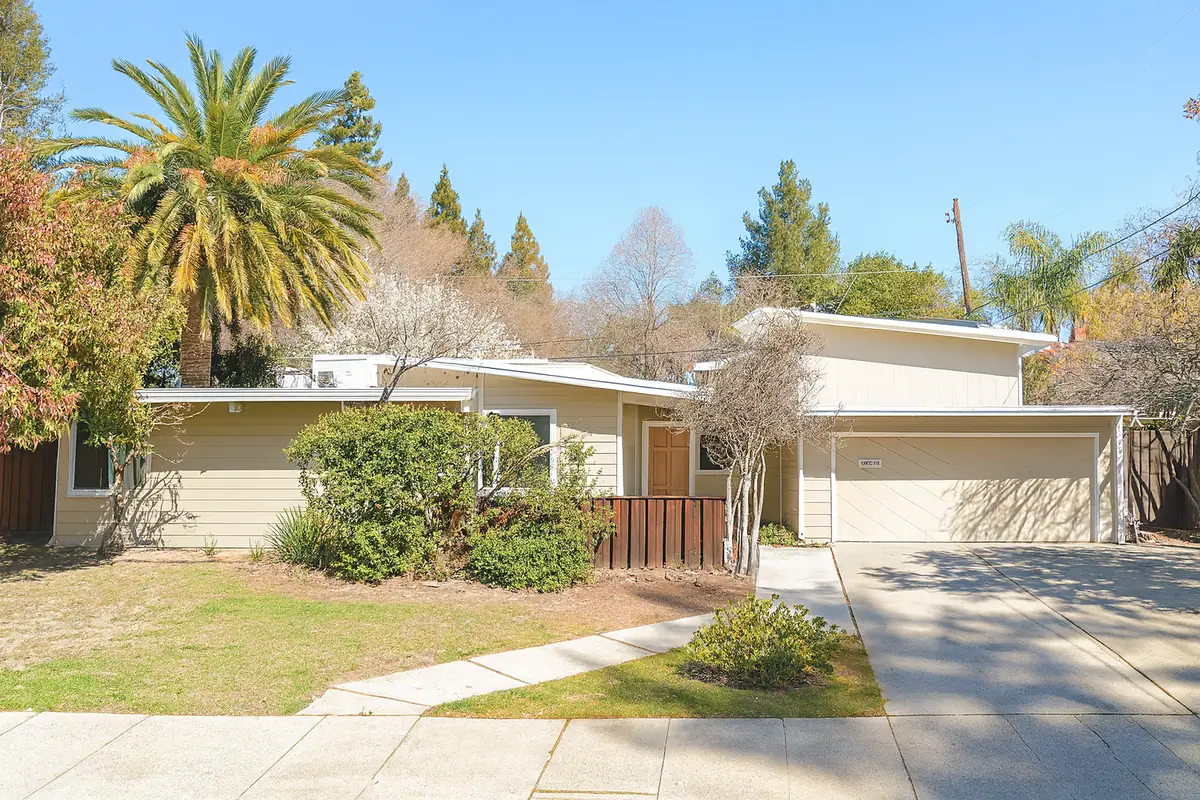 A Redwood City mid-century house with a low roofline behind a flowering street tree.